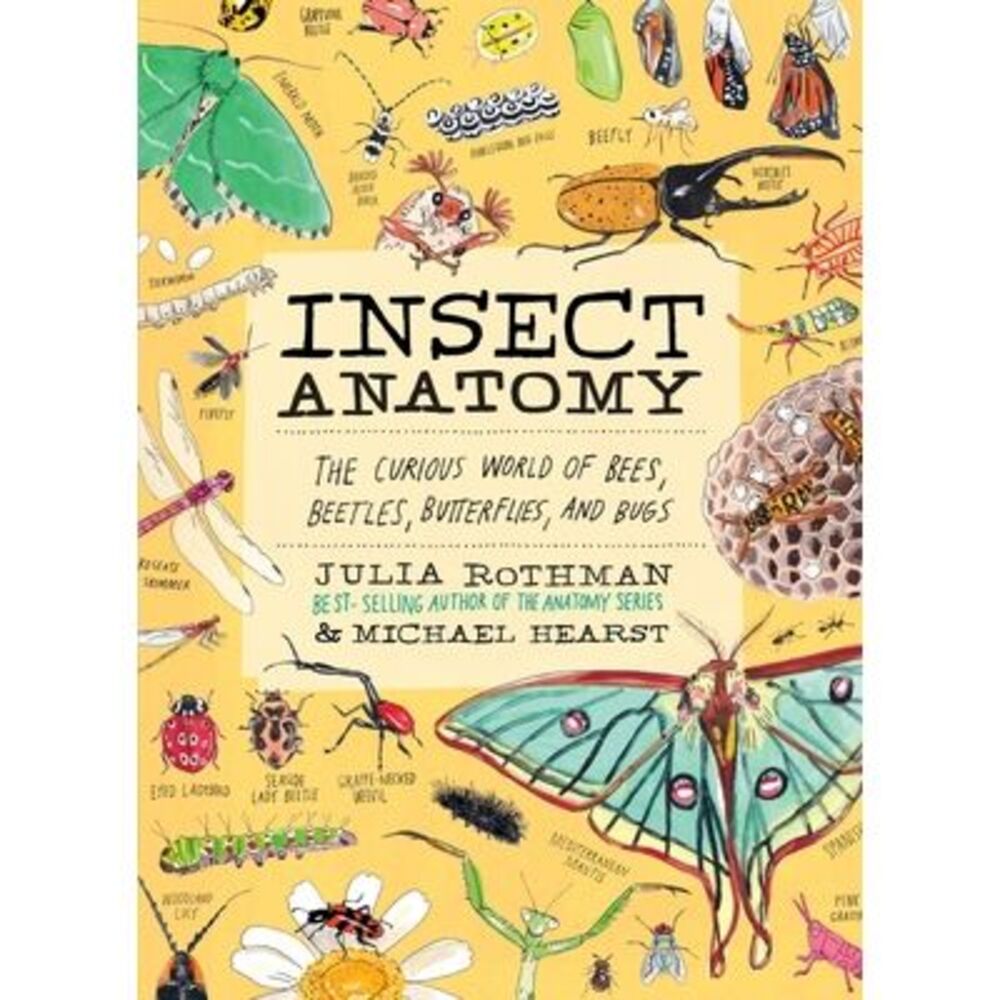 Insect Anatomy: The Curious World of Bees, Beetles, Butterflies, and Bugs -- Jul